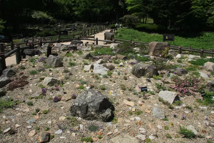 30 Minutes Away from Kobe. Spending an Afternoon at a Museum and Botanical Garden where you can Feel the Nature