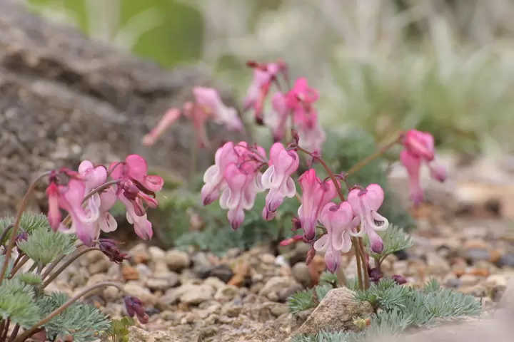 30 Minutes Away from Kobe. Spending an Afternoon at a Museum and Botanical Garden where you can Feel the Nature