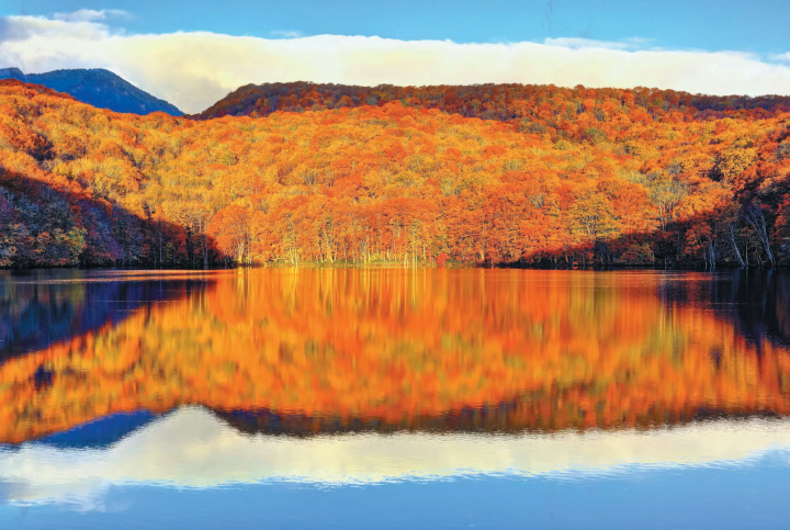 【2024년판】이거야 일본의 단풍! 가을에 가고 싶은 비밀 단풍 명소