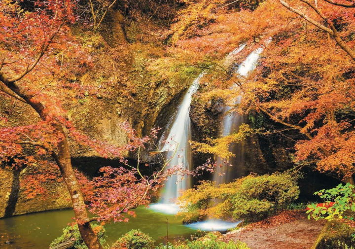 【2024년판】이거야 일본의 단풍! 가을에 가고 싶은 비밀 단풍 명소