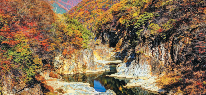 【2024년판】이거야 일본의 단풍! 가을에 가고 싶은 비밀 단풍 명소