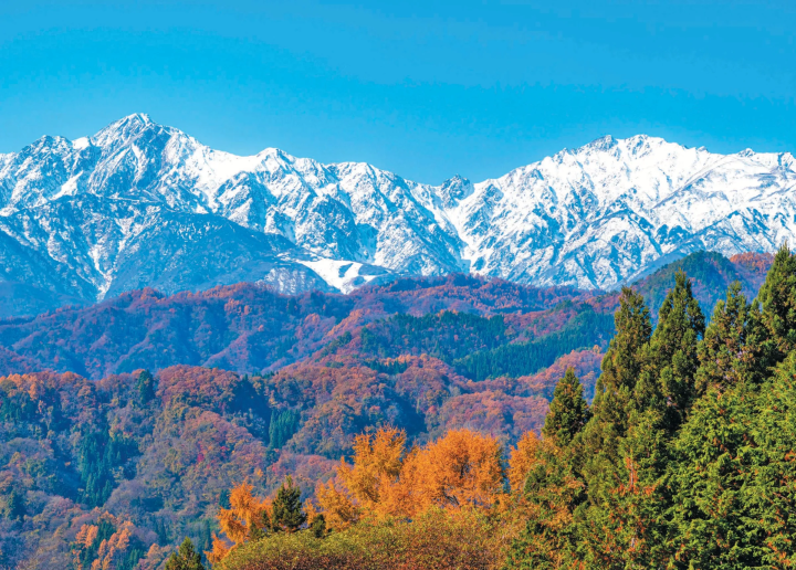 【2024년판】이거야 일본의 단풍! 가을에 가고 싶은 비밀 단풍 명소