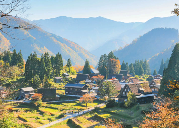 【2024년판】이거야 일본의 단풍! 가을에 가고 싶은 비밀 단풍 명소