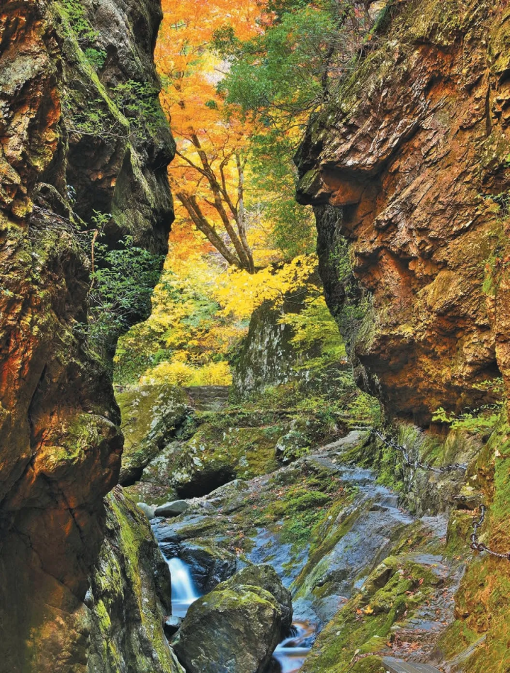 【2024년판】이거야 일본의 단풍! 가을에 가고 싶은 비밀 단풍 명소