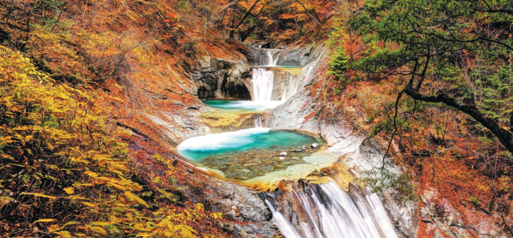 【2024년판】이거야 일본의 단풍! 가을에 가고 싶은 비밀 단풍 명소
