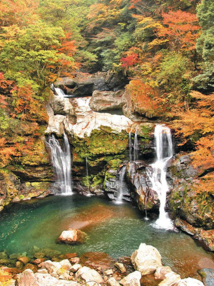 【2024년판】이거야 일본의 단풍! 가을에 가고 싶은 비밀 단풍 명소