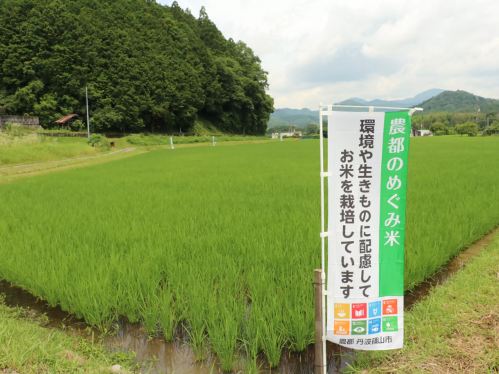 “能登惠大米”对生物和环境友善的大米