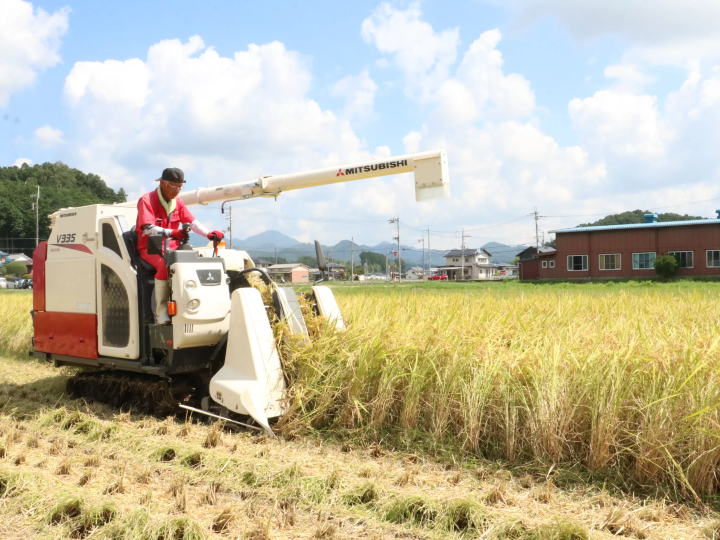 “能登惠大米”对生物和环境友善的大米