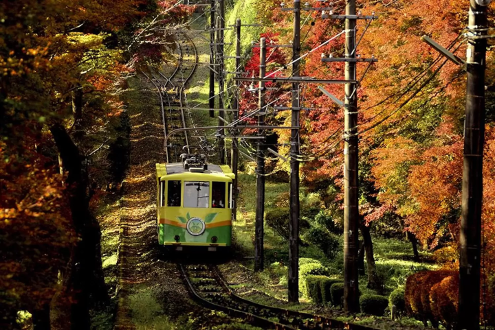 Mount Takao Autumn Leaves Festival