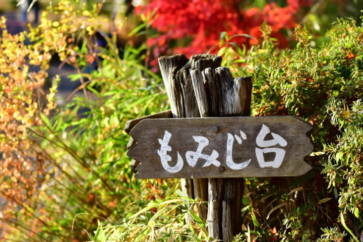 Mount Takao Autumn Leaves Festival