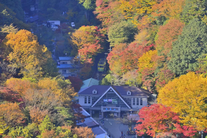 Mount Takao Autumn Leaves Festival
