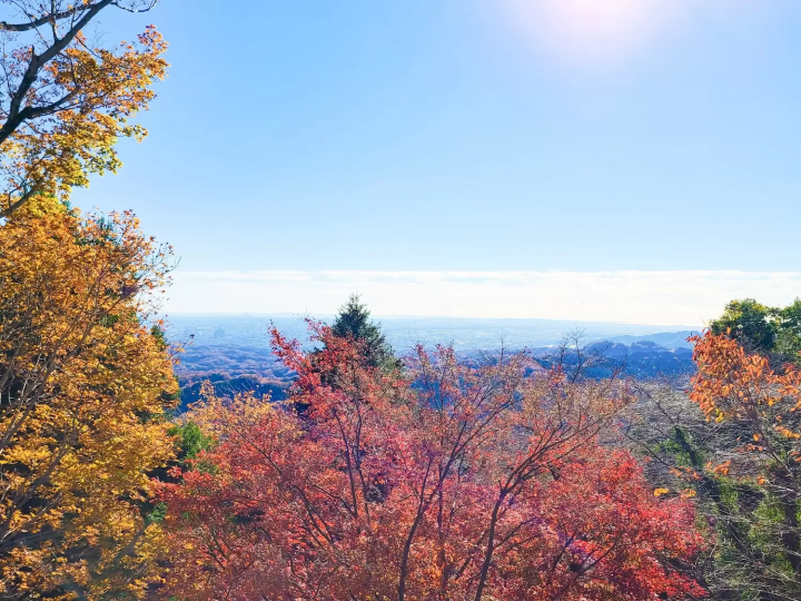 Mount Takao Autumn Leaves Festival