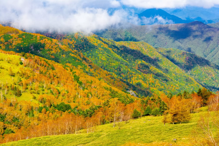 美ヶ原高原　紅葉