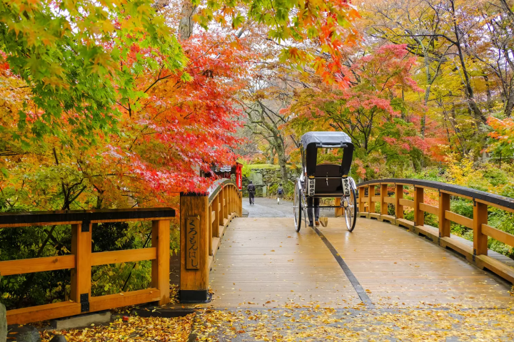 小諸城址懐古園　紅葉