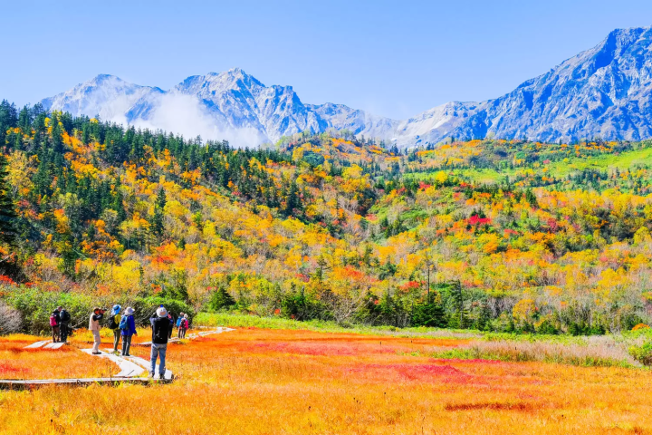 栂池自然園　紅葉