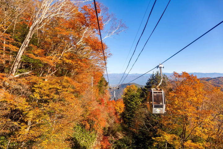 富士見台高原　紅葉