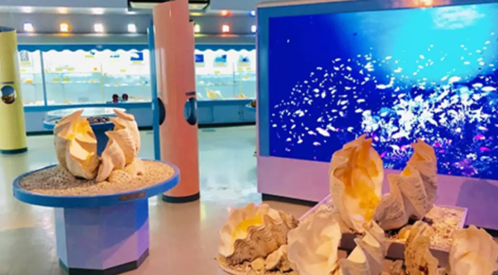 [Okinawa Driving Course] Even on rainy days, it's fine! Adults and children alike can enjoy sightseeing in Miyakojima!