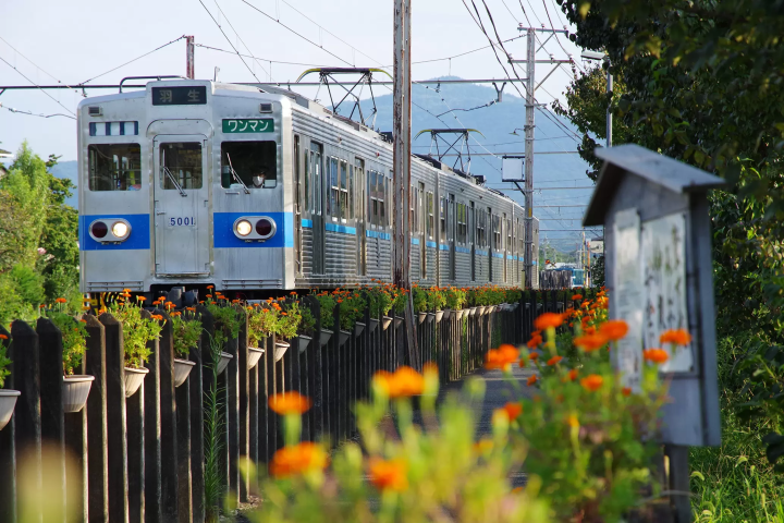 [2024 Autumn] Nagatoro, Saitama – Just 90 Minutes from Tokyo! Enjoy a Day Trip for Stunning Autumn Foliage