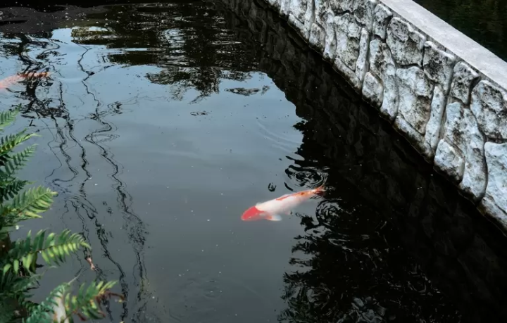 兵库隐藏的京都:辰野市传统建筑探访