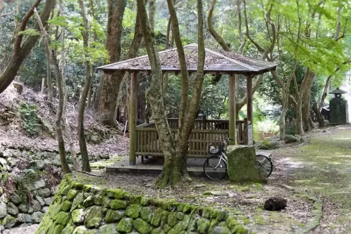 兵库隐藏的京都:辰野市传统建筑探访