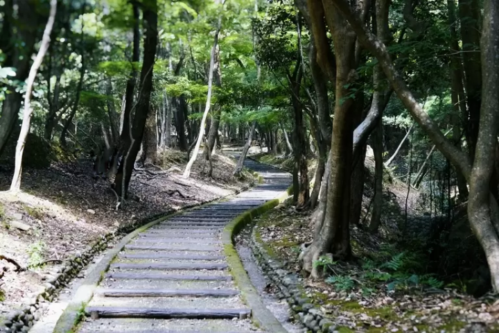 兵库隐藏的京都:辰野市传统建筑探访