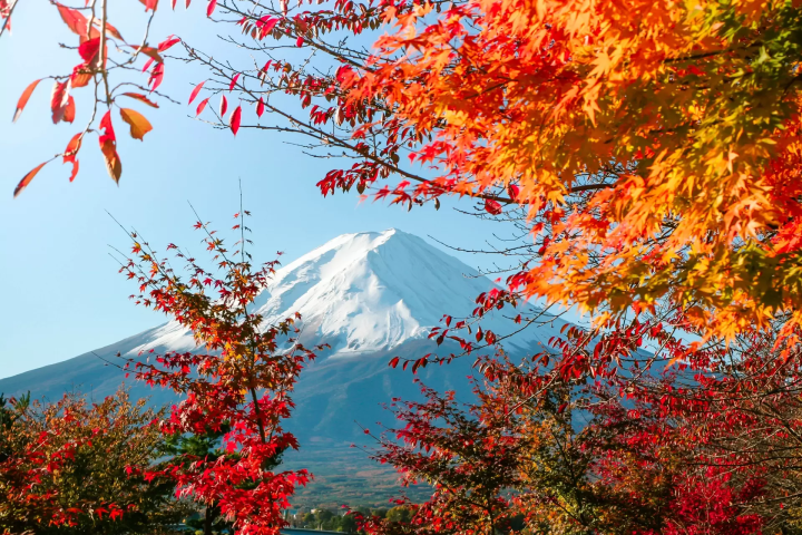 富士山の紅葉のイメージ画像