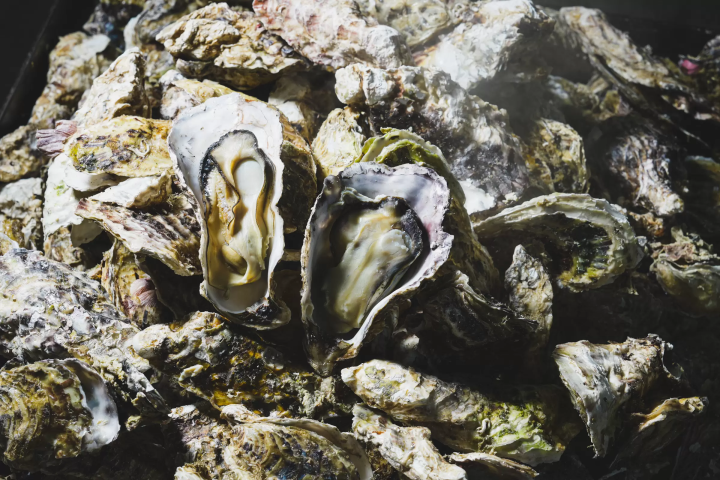 宮城県、日本三景松島で名産の牡蠣を堪能！
