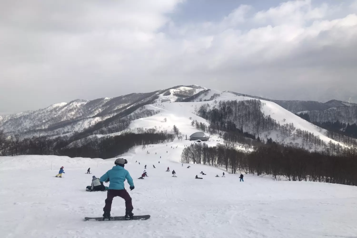 【2024-25】関東から近い！日帰りできる人気のおすすめスキー場10選