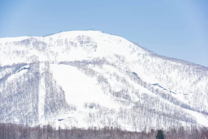 【2024-25】北海道のおすすめスキー場10選｜混雑しない穴場スキー場も紹介