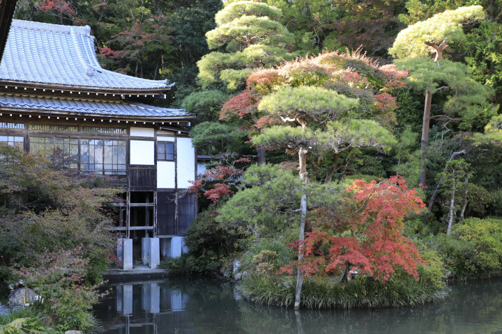 [2024 Autumn] Nagatoro, Saitama – Just 90 Minutes from Tokyo! Enjoy a Day Trip for Stunning Autumn Foliage