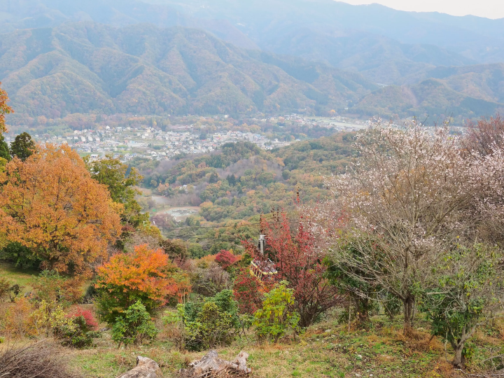 [2024 Autumn] Nagatoro, Saitama – Just 90 Minutes from Tokyo! Enjoy a Day Trip for Stunning Autumn Foliage