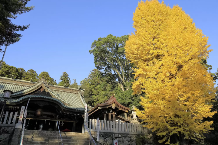 Perfect Moments for Autumn Foliage on Mount Tsukuba: Must-Visit Locations and Festivals!