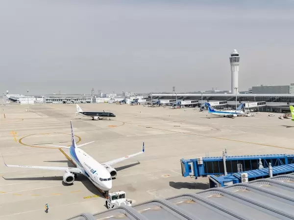 不用坐飞机也能玩得开心！新特丽亚特色，尽享欢乐