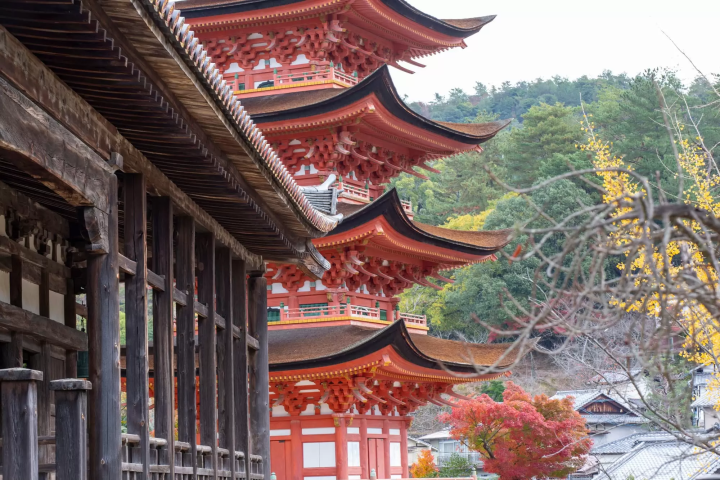 宮島の紅葉のイメージ画像