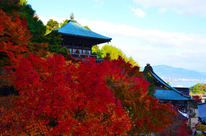 宮島の紅葉のイメージ画像