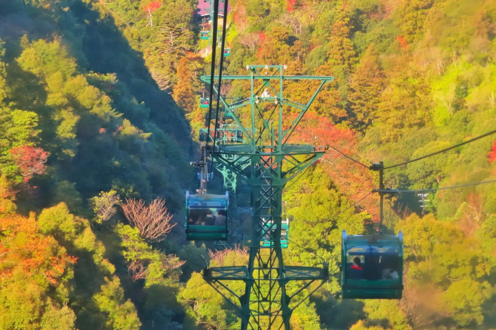 宮島の紅葉のイメージ画像