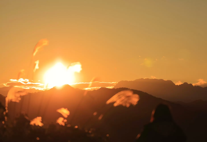 【2024年秋叶】埼玉/秩父/长瀞，距离东京90分钟：奖励自己！ 2天1晚赏红叶路线