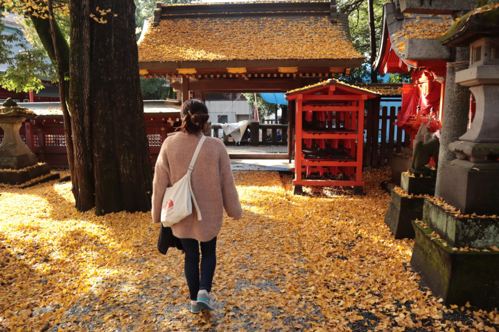 【2024年秋叶】埼玉/秩父/长瀞，距离东京90分钟：奖励自己！ 2天1晚赏红叶路线