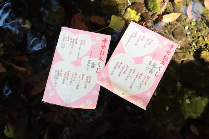 【2024年秋叶】埼玉/秩父/长瀞，距离东京90分钟：奖励自己！ 2天1晚赏红叶路线