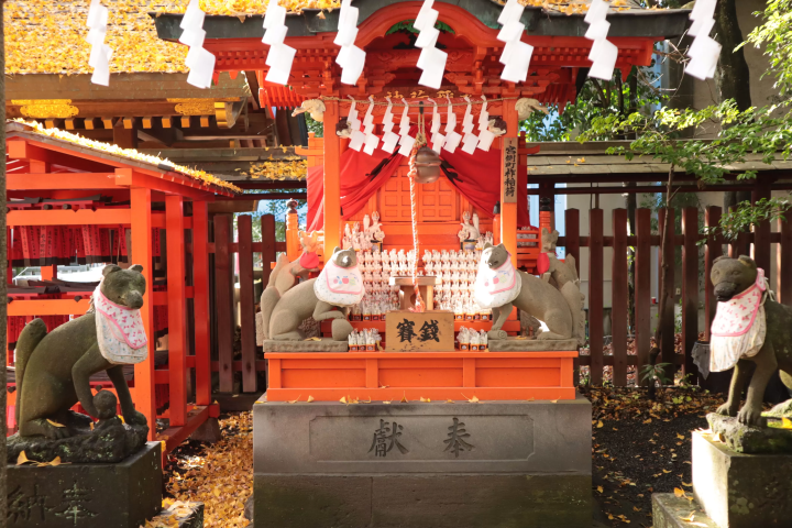 【2024年秋叶】埼玉/秩父/长瀞，距离东京90分钟：奖励自己！ 2天1晚赏红叶路线