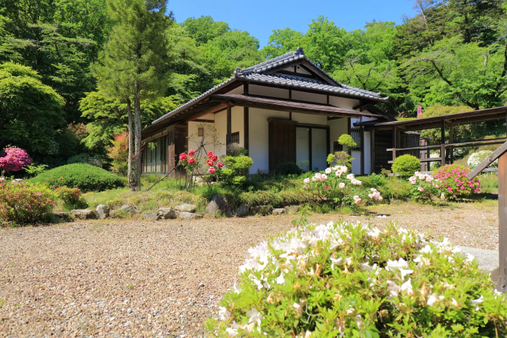 【2024年秋叶】埼玉/秩父/长瀞，距离东京90分钟：奖励自己！ 2天1晚赏红叶路线