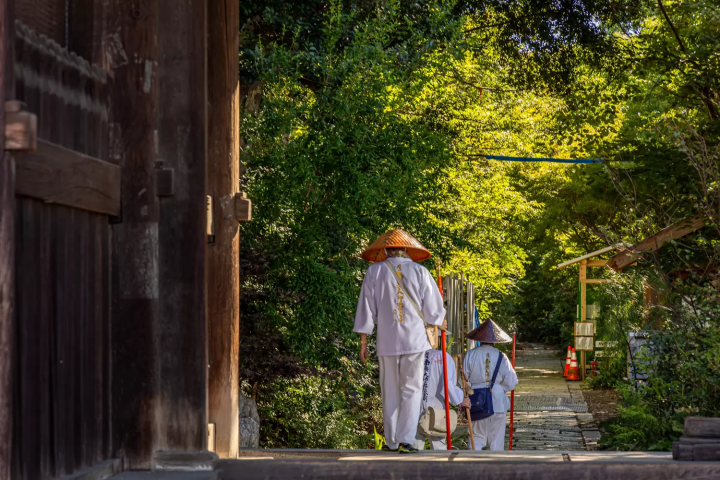 瀬戶內國際藝術祭2025：志度・津田區域