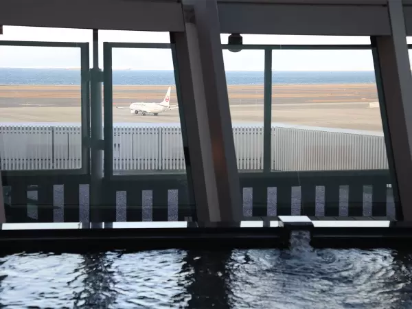 不用坐飞机也能玩得开心！新特丽亚特色，尽享欢乐