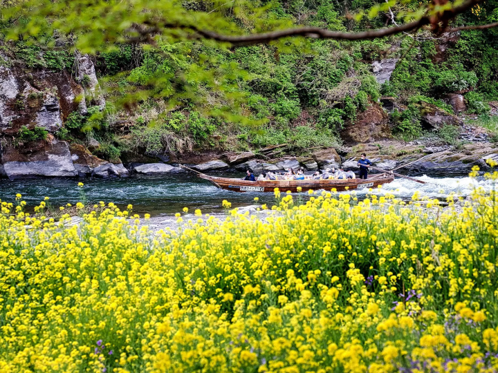 [Popular spot] Nagatoro, Saitama: A thorough explanation of how to board the Nagatoro Line Boat Cruise, a river boat activity that has been going for 100 years