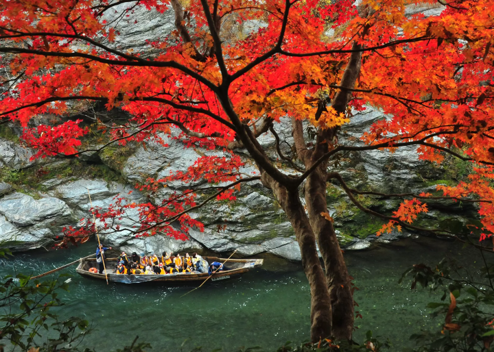 [Popular spot] Nagatoro, Saitama: A thorough explanation of how to board the Nagatoro Line Boat Cruise, a river boat activity that has been going for 100 years