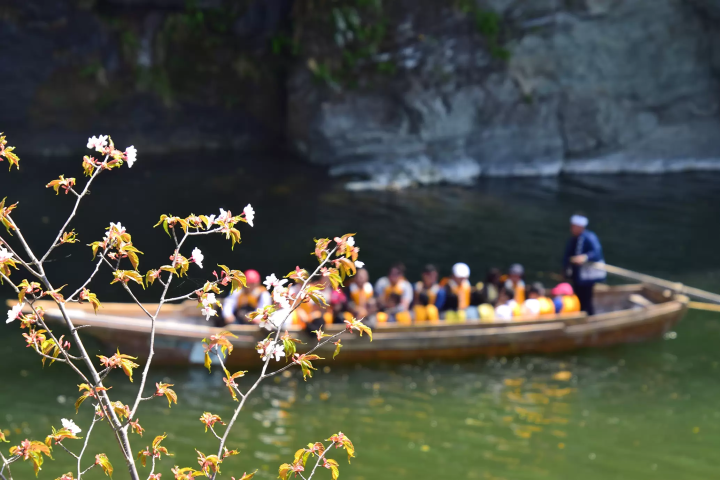 [Popular spot] Nagatoro, Saitama: A thorough explanation of how to board the Nagatoro Line Boat Cruise, a river boat activity that has been going for 100 years