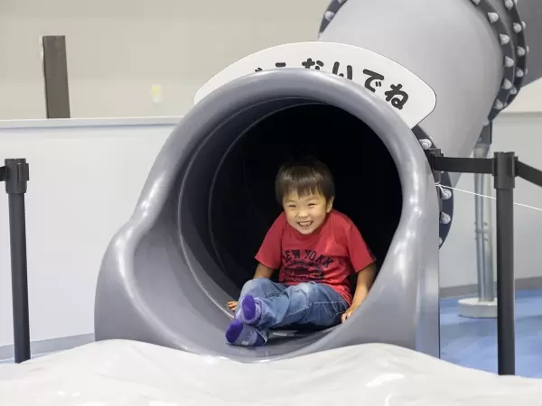 不用坐飞机也能玩得开心！新特丽亚特色，尽享欢乐