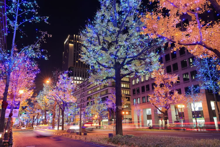 御堂筋イルミネーション2024はいつから？ 最寄り駅や行き方もご紹介！