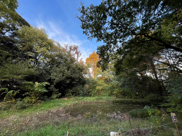 연못(비오토프) 