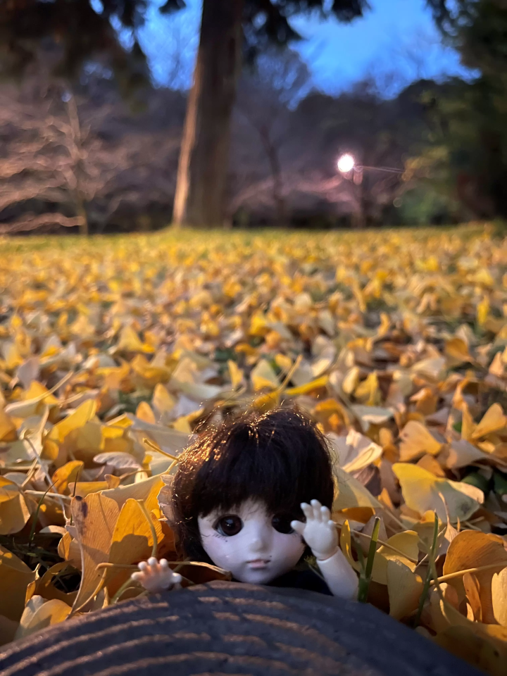 (단풍에 대만족의 꼬마 나카노 씨. 다시 오자) 